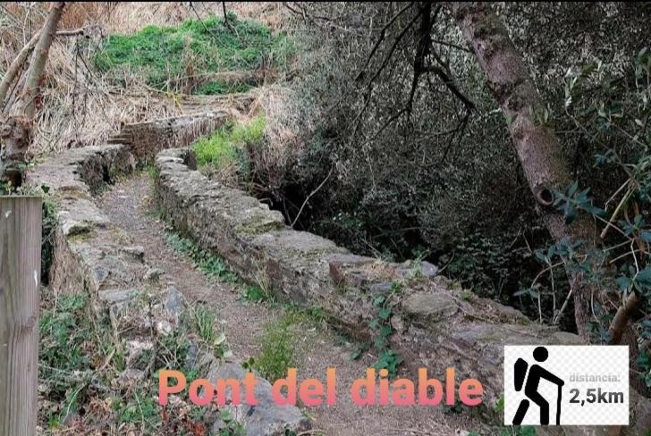 Apartamento En La Costa Del Maresme Pineda de Mar Kültér fotó